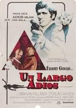 Poster de la película Un largo adiós - Películas hoy en TV