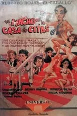 Película Un macho en la casa de citas