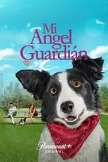 Póster de la película Un perro divino