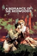 Poster de la película Un romance en los Redwoods - Películas hoy en TV