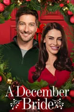 Daniel Lissing interpreta a Seth en Una boda en diciembre