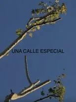 Poster de la película Una Calle Especial - Películas hoy en TV