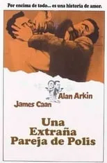 Película Una extraña pareja de polis