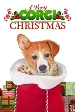 Poster de Una Navidad Con Corgi