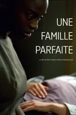 Poster de Une famille parfaite