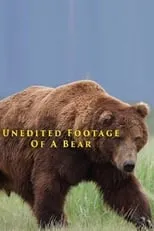 Poster de la película Unedited Footage of a Bear - Películas hoy en TV