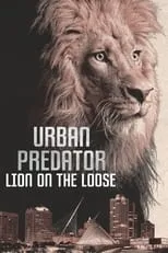 Película Urban Predator: Lion on the Loose