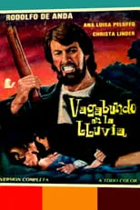 Portada de Vagabundo en la lluvia