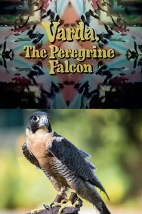 Póster de la película Varda, the Peregrine Falcon