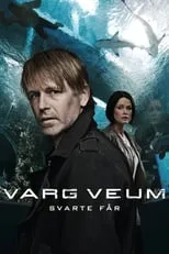 Poster de Varg Veum - Oveja negra