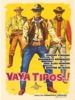 Póster de la película Vaya tipos