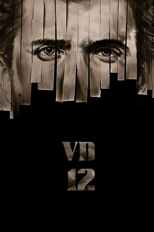 Póster de la película VD12