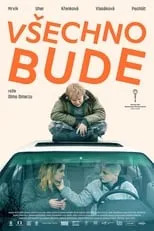 Póster de la película Všechno bude