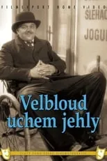 Película Velbloud uchem jehly