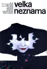 Póster de la película Velká neznámá