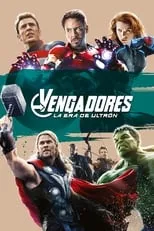 Poster de Vengadores: La Era de Ultrón