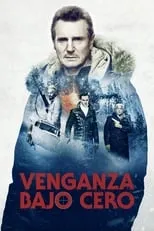 Poster de la película Venganza bajo cero - Películas hoy en TV