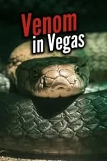 Película Venom In Vegas