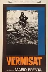 Póster de Vermisat