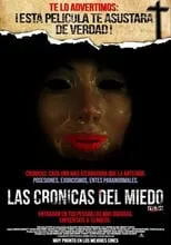 Poster de V/H/S