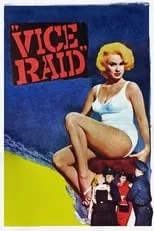 Portada de Vice Raid