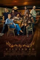 Poster de la película Villibráð - Películas hoy en TV