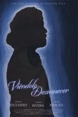 Póster de la película Viéndolo Desvanecer