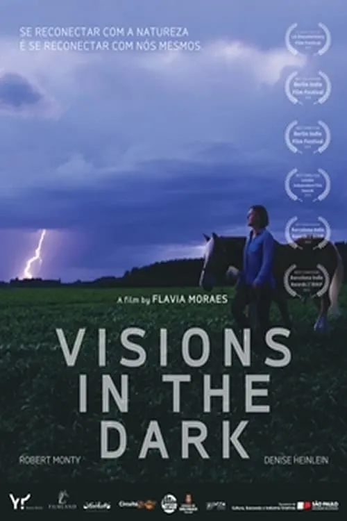 Póster de la película Visions in the Dark