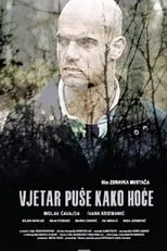 Poster de Vjetar puše kako hoće