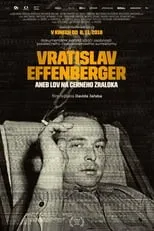 Póster de la película Vratislav Effenberger aneb Lov na černého žraloka