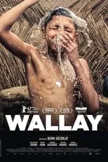 Película Wallay