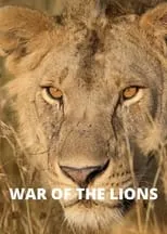 Portada de War of the Lions