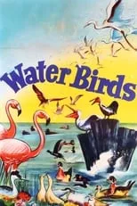 Winston Hibler es Narrator en Water Birds