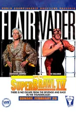 WCW SuperBrawl IV portada