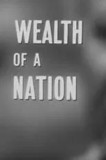 Póster de la película Wealth of a Nation