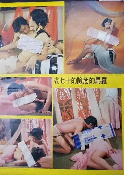 Póster de 危險的十七歲