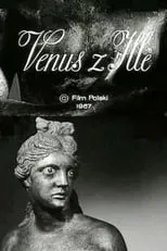 Portada de Wenus z Ille