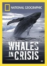 Michael Carroll interpreta a Narrator en Whales in Crisis