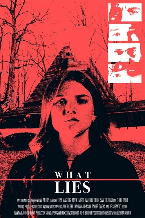 Póster de la película What Lies