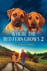 Póster de la película Where The Red Fern Grows Part 2