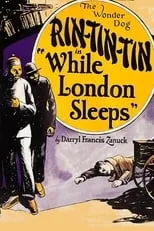 Póster de la película While London Sleeps