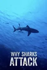 Greg Skomal es Himself en Why Sharks Attack