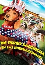 Poster de Wiener Dog Internationals