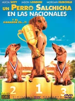 Poster de Wiener Dog Nationals