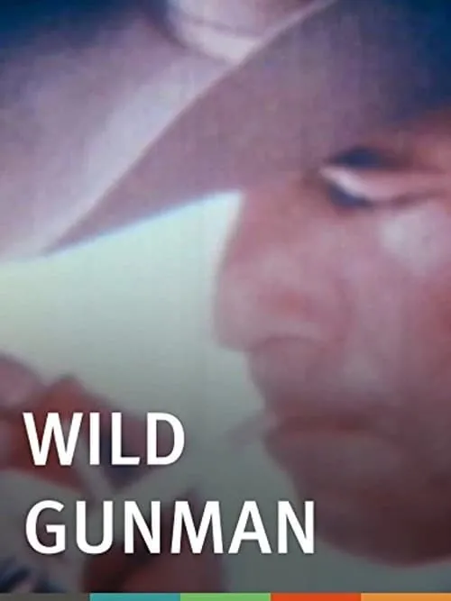 Póster de Wild Gunman