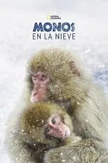 Póster de la película Wild Japón: monos de la nieve