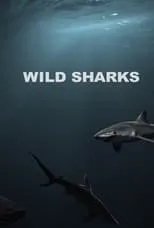 Paul Bendelow es Narrator en Wild Sharks