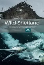 Portada de Wild Shetland: Scotland's Viking Frontier