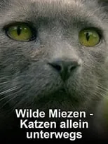 Sven Philipp es Self (voice) en Wilde Miezen - Katzen allein unterwegs