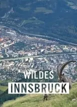 Portada de Wildes Innsbruck: Zwischen Moderne und alpiner Wildnis